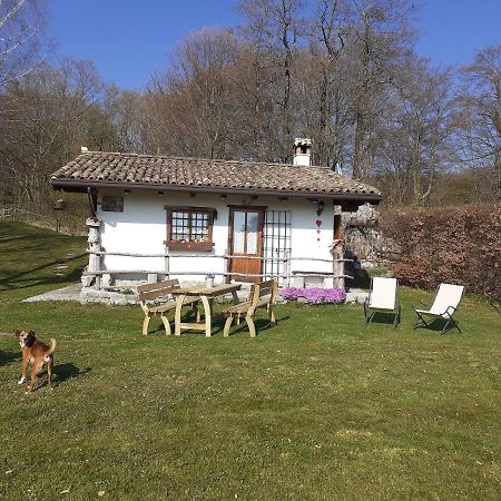 Baita Tana Da L'Ors Forgaria nel Friuli ภายนอก รูปภาพ