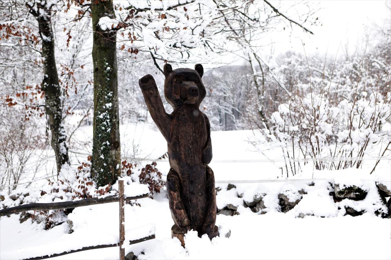 Baita Tana Da L'Ors Forgaria nel Friuli ภายนอก รูปภาพ