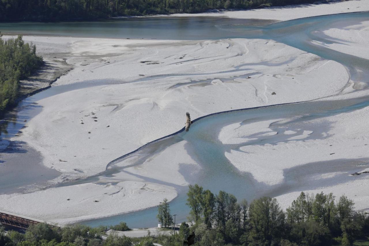 Baita Tana Da L'Ors Forgaria nel Friuli ภายนอก รูปภาพ