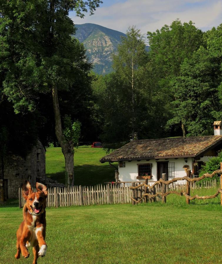 Baita Tana Da L'Ors Forgaria nel Friuli ภายนอก รูปภาพ