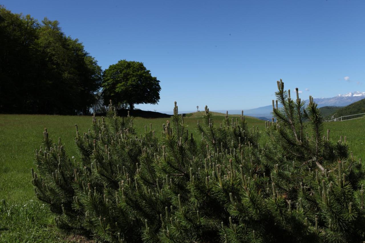 Baita Tana Da L'Ors Forgaria nel Friuli ภายนอก รูปภาพ