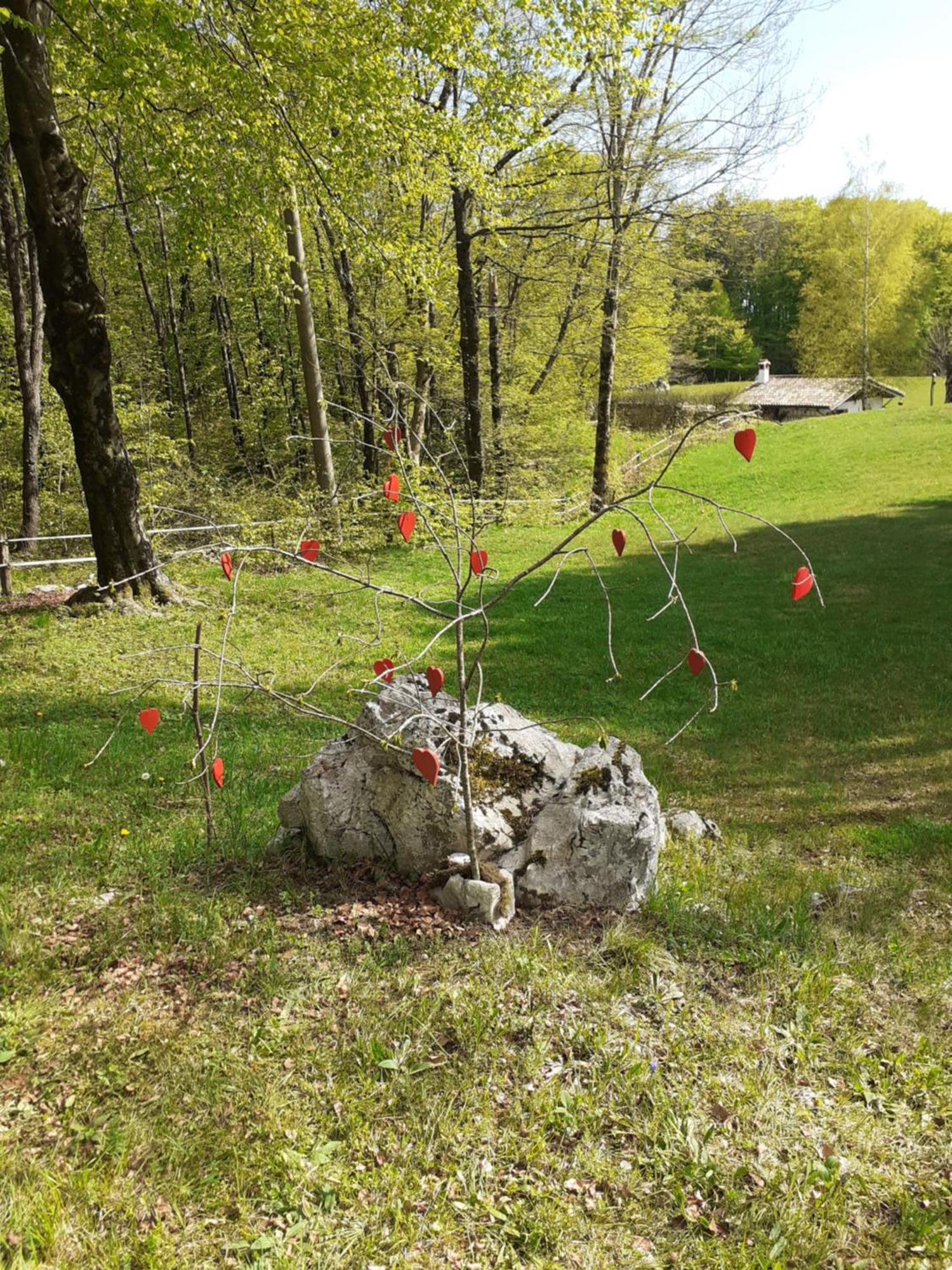 Baita Tana Da L'Ors Forgaria nel Friuli ห้อง รูปภาพ