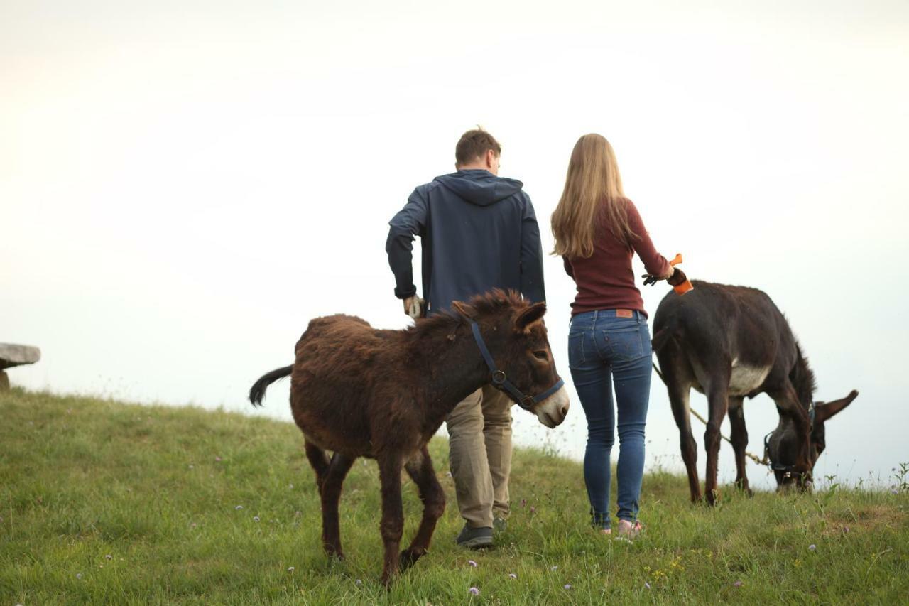 Baita Tana Da L'Ors Forgaria nel Friuli ภายนอก รูปภาพ